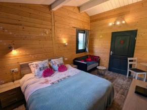 Chalet paisible avec spa & sauna dans les Vosges - FR-1-583-362